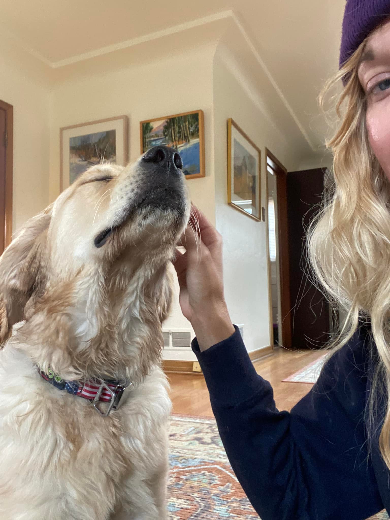 Golden dog leaning into chin scratches from a caregiver indoors
